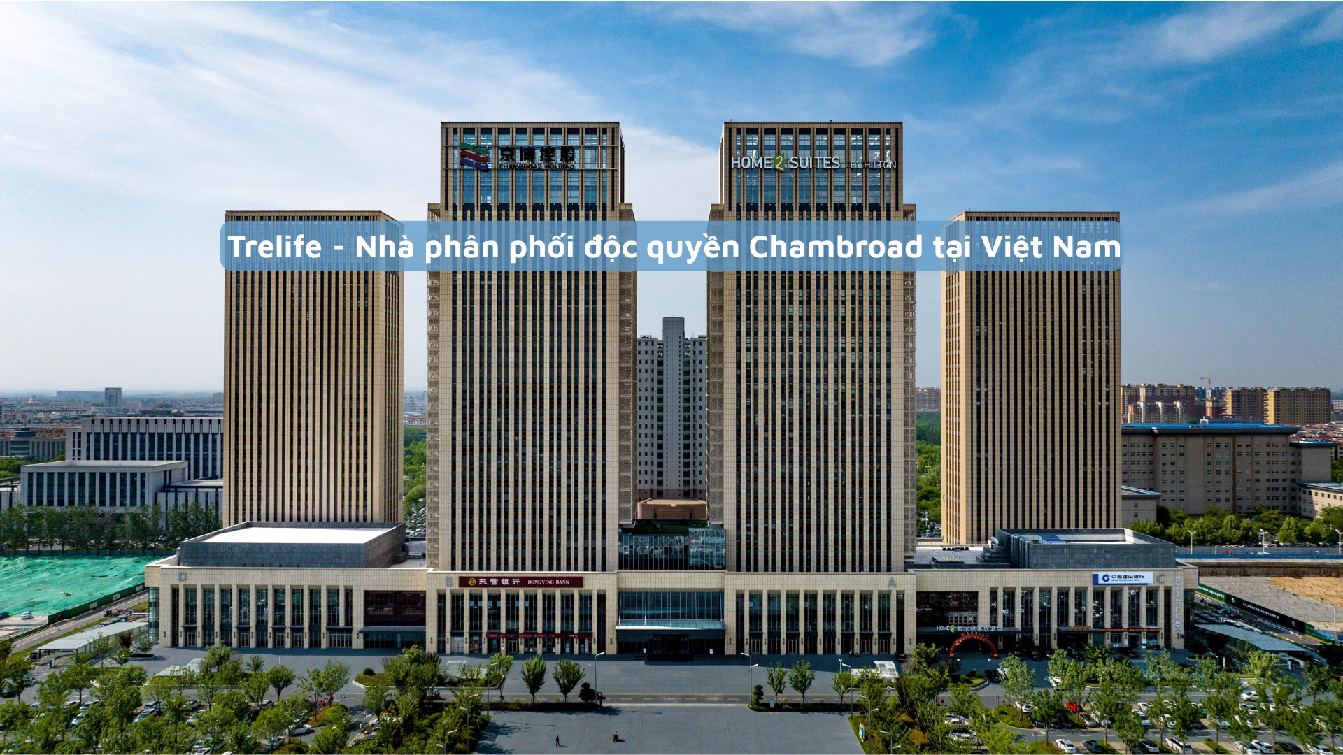 Trelife - Tre dẫn đầu chất lượng