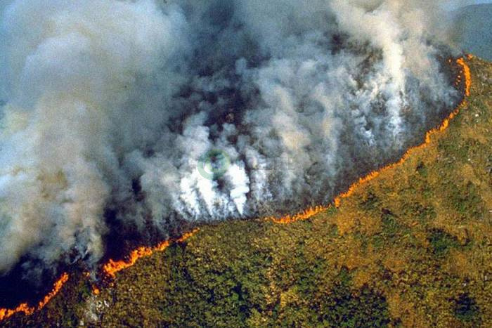 Cháy rừng tại Brazil