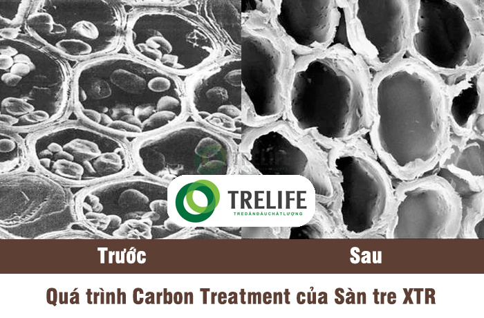 Công nghệ Carbon Treatment Sàn tre ngoài trời XTR Trelife.vn