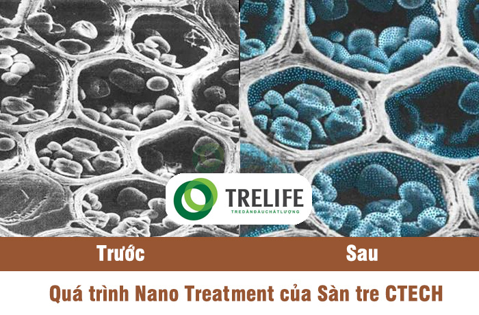 Công nghệ Nano Treatment Sàn tre ngoài trời CTECH trelife.vn