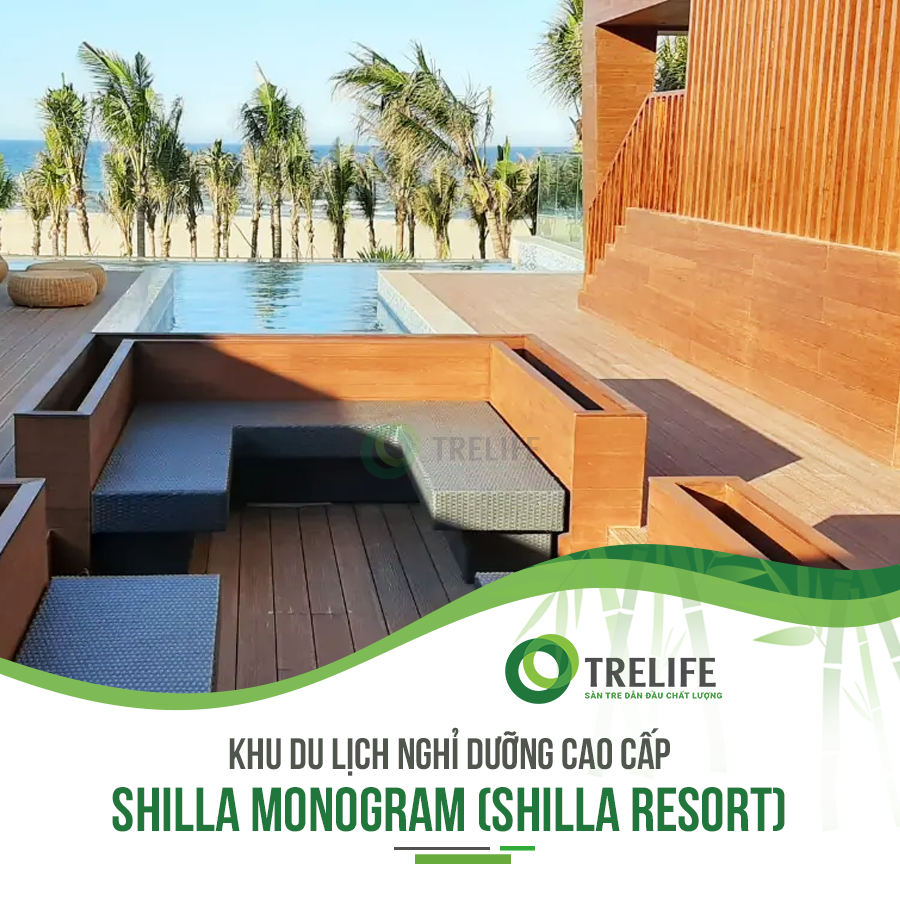 Sàn tre Trelife.vn tại Shilla Resort