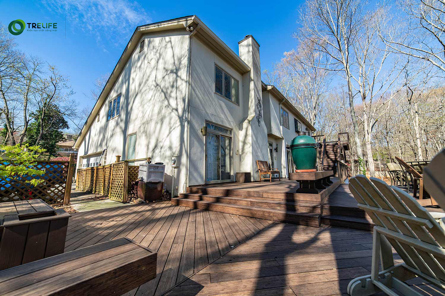 Dòng sản phẩm tre Dasso XTR và những điều cần biết