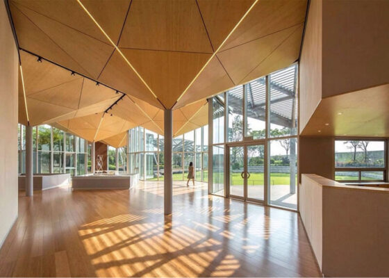 LỢI THẾ CHỐNG MỐI MỌT CỦA TRE: SỰ KHÁC BIỆT SO VỚI GỖ TRUYỂN THỐNG